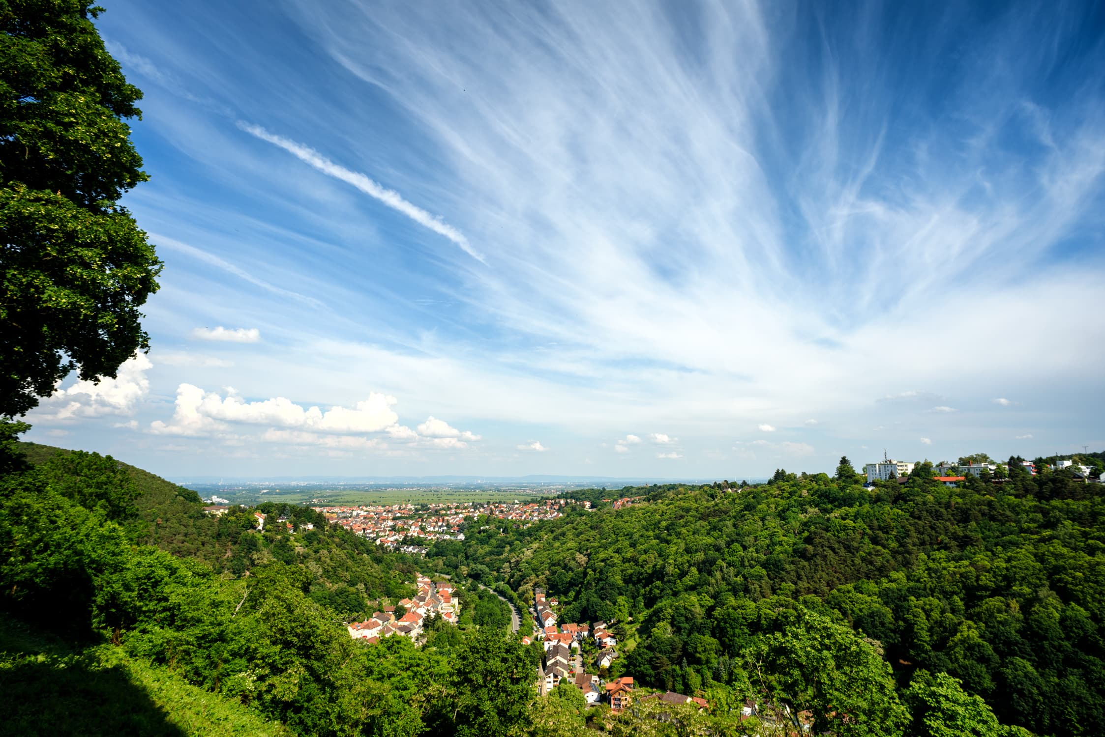 Wanderung von der Limburg zur Hardenburg und zurück