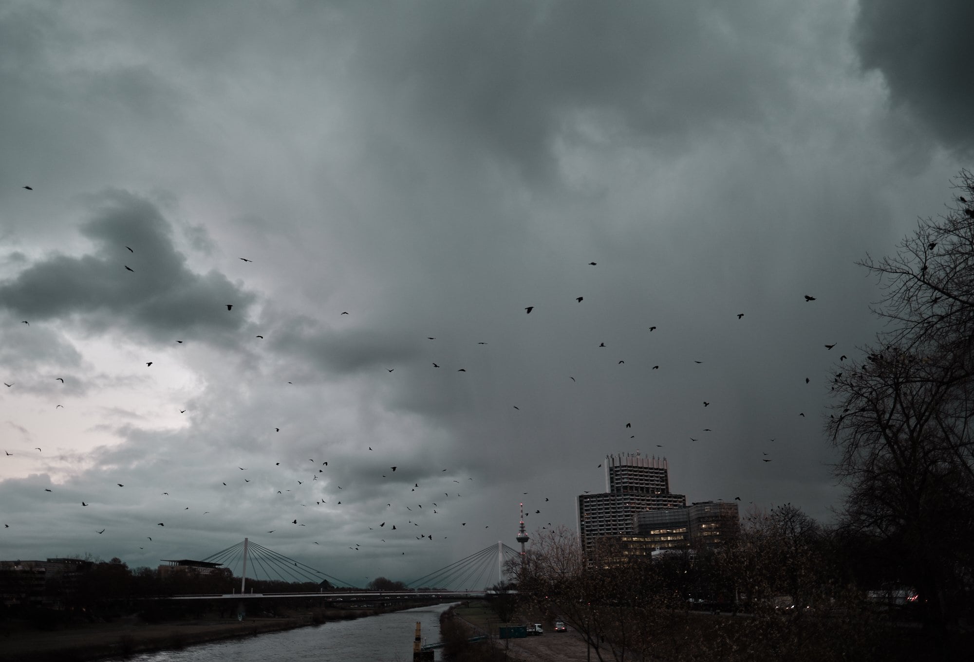 My moody Mannheim I/III