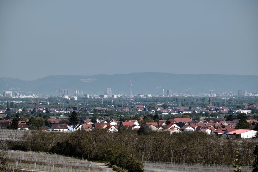 Mannheim aus der Ferne – aus Sicht des Musikantenbuckels bei Freinsheim