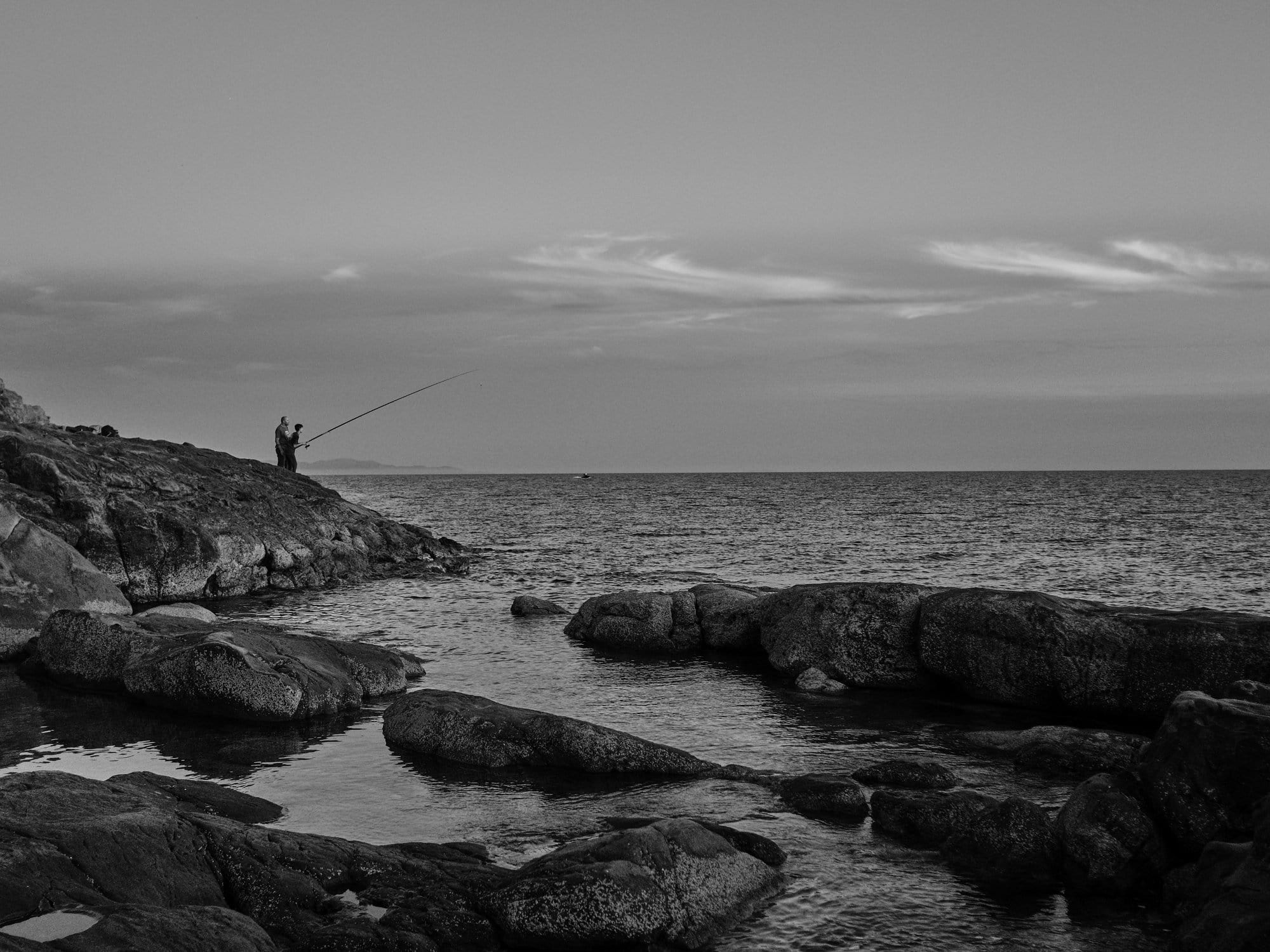 Livorno – Fischer