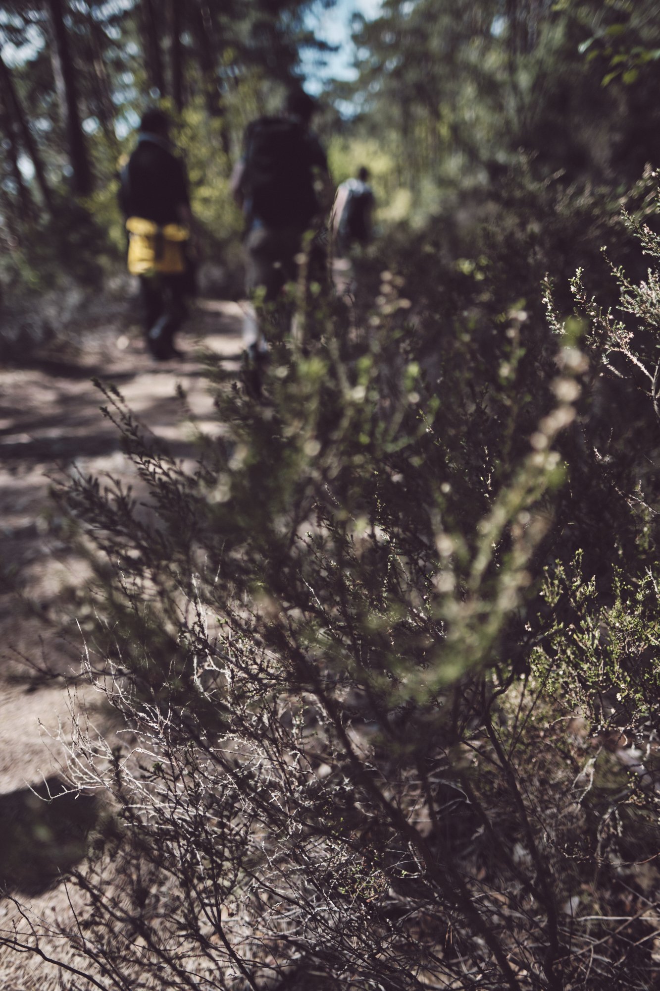 Wanderlust #2