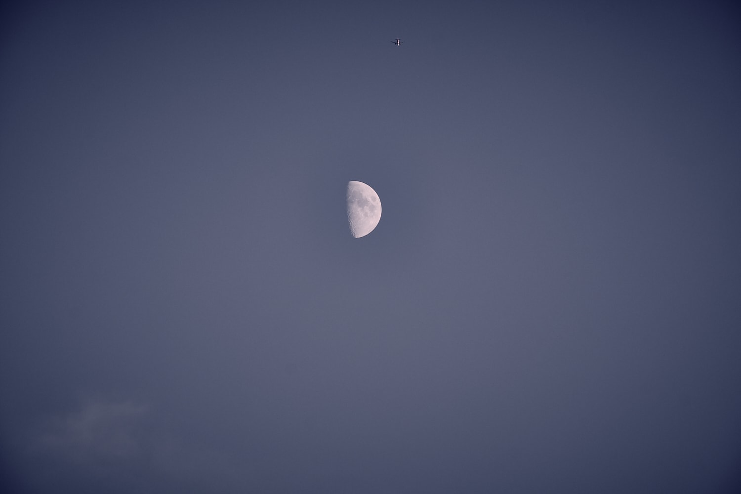 Bark at the moon