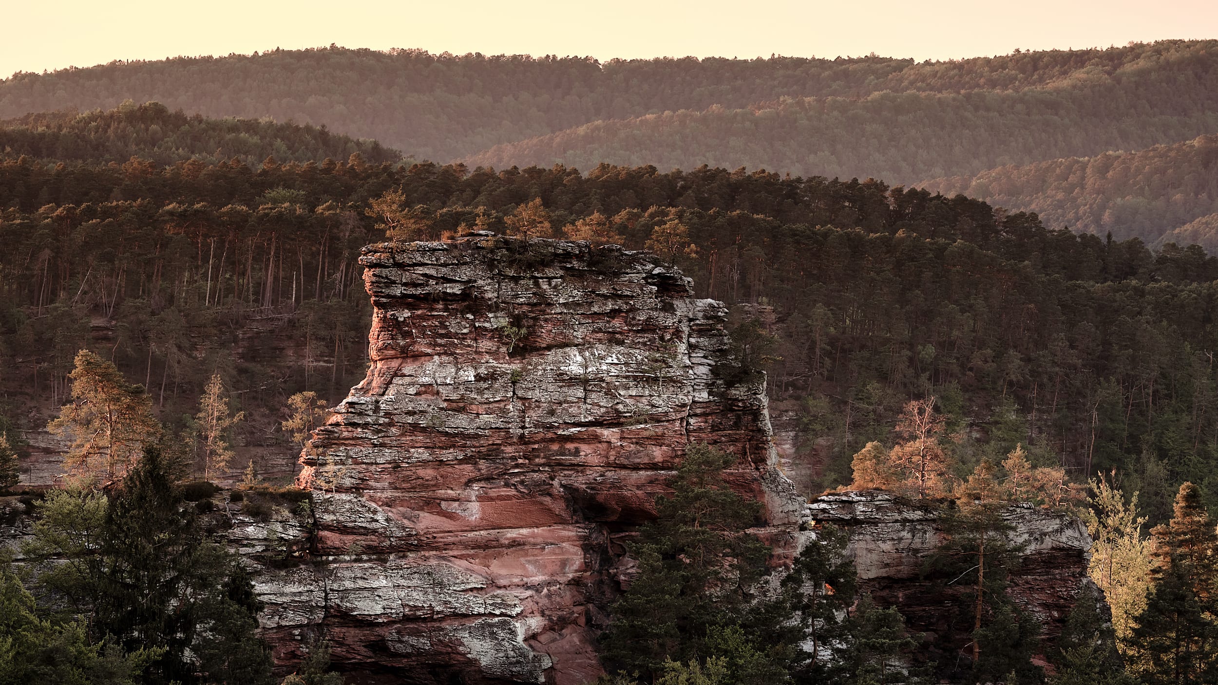 Lämmerfels bei Dahn