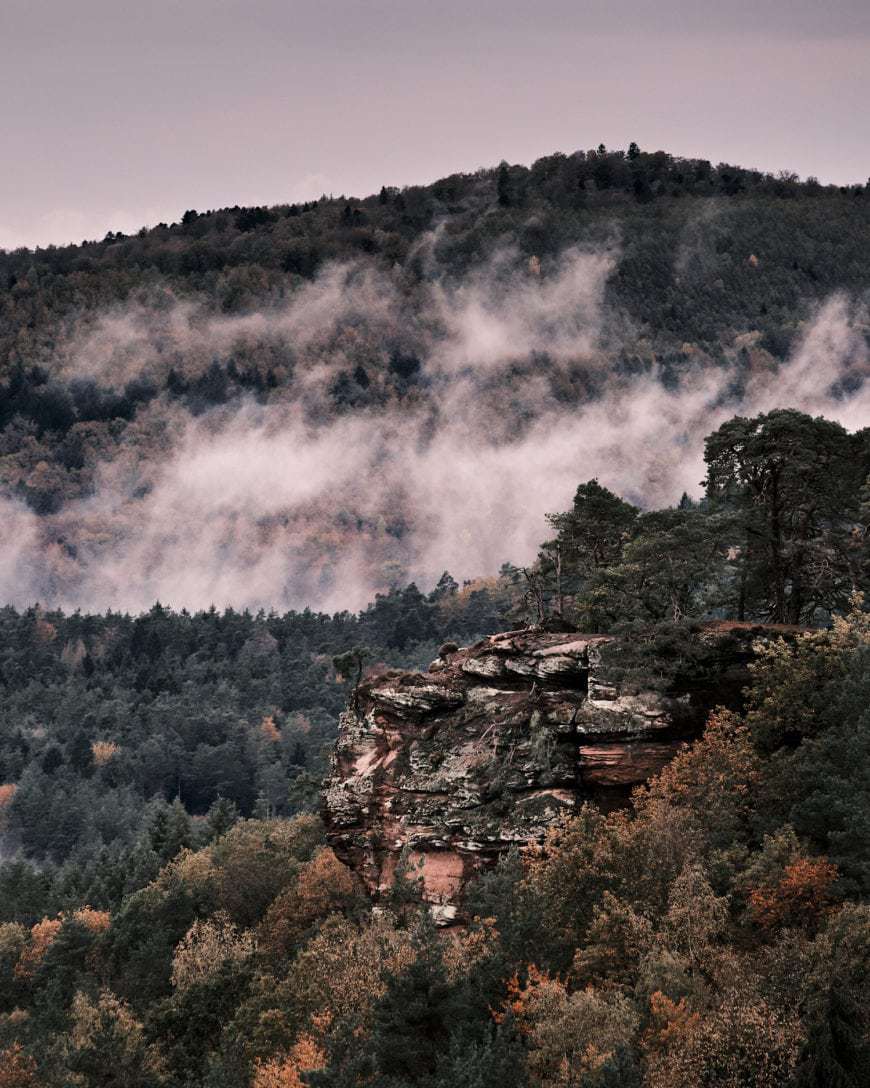 Ein Blick von der Burg Altdahn in den Pfälzer Wald