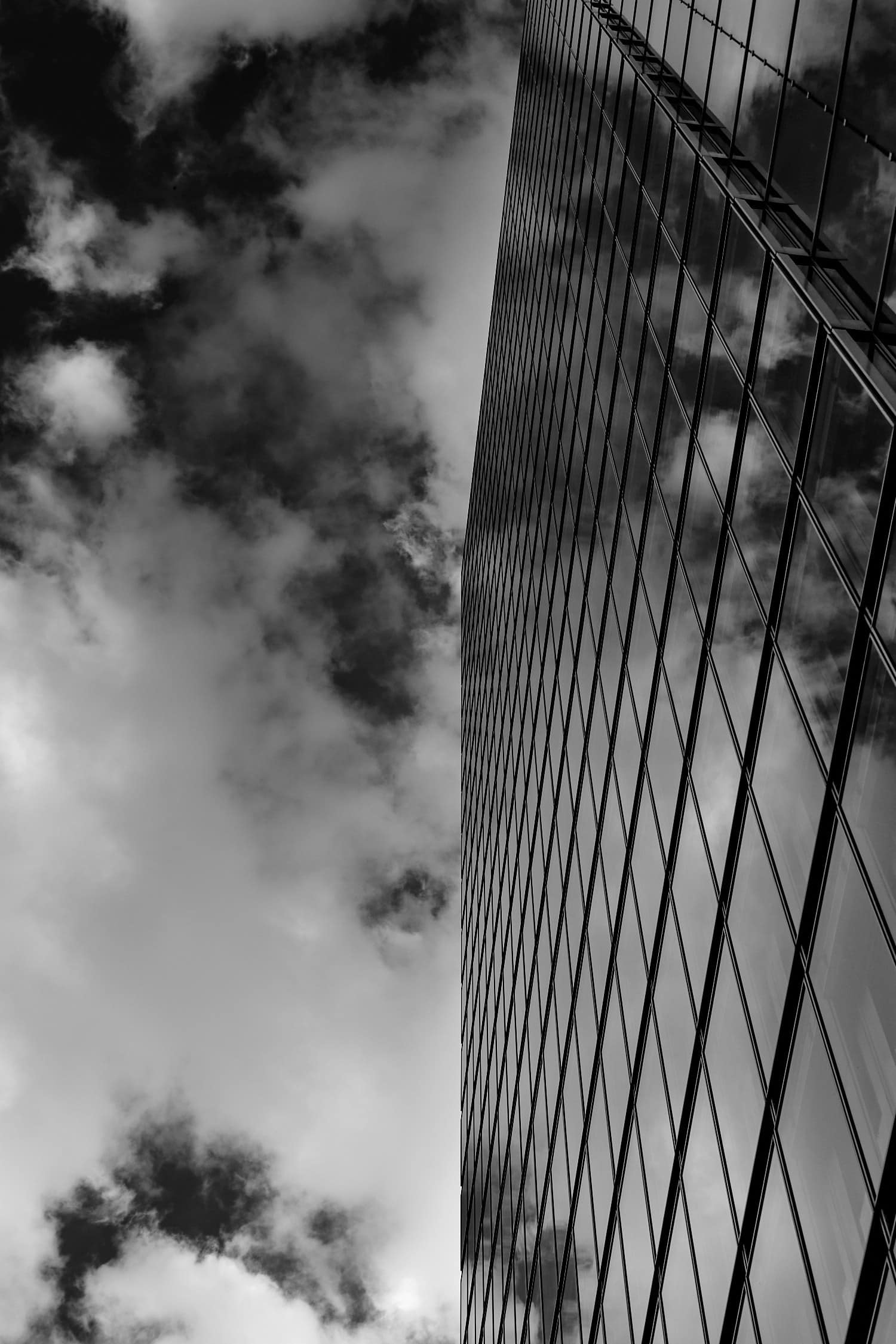 Mannheim Monochrome