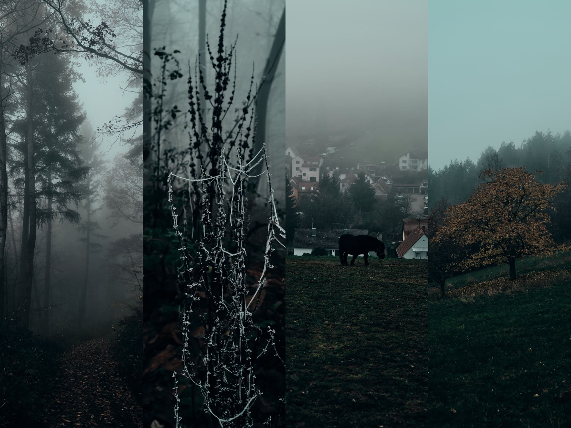 Wanderlust