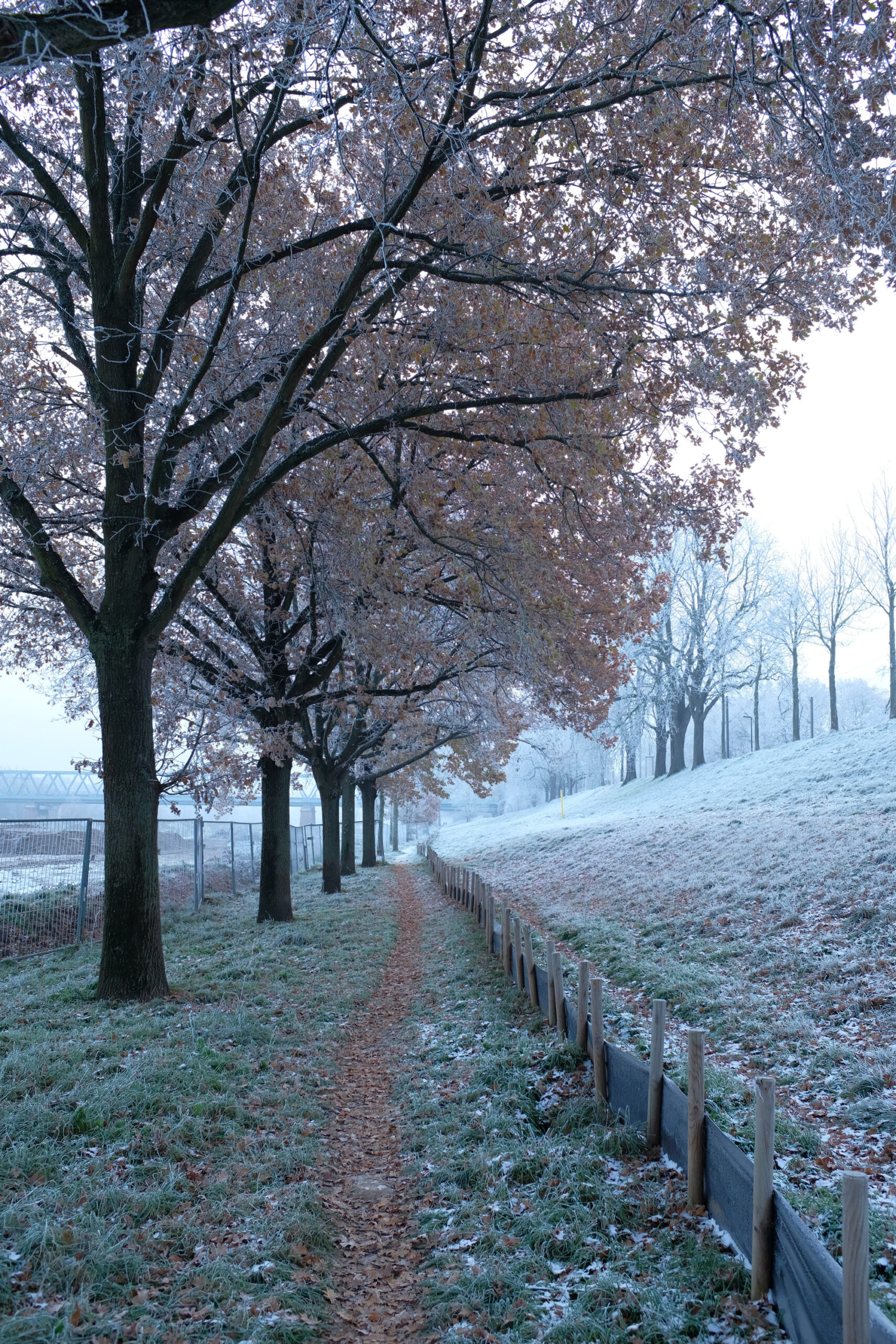 Sunday morning walk